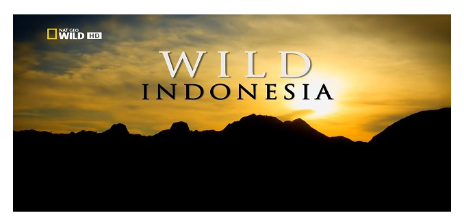 Destination Wild: Indonesia (2015)